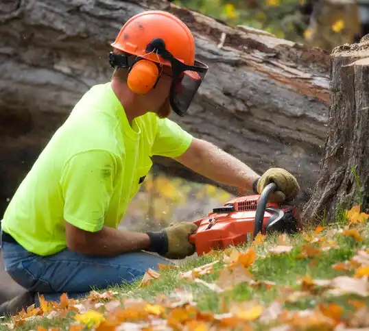 tree services Sibley